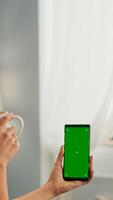 Freelancer woman drinking coffee in office desk talking with collegue using mock up green screen chroma key smartphone. Caucasian female searching online information use isolated phone photo