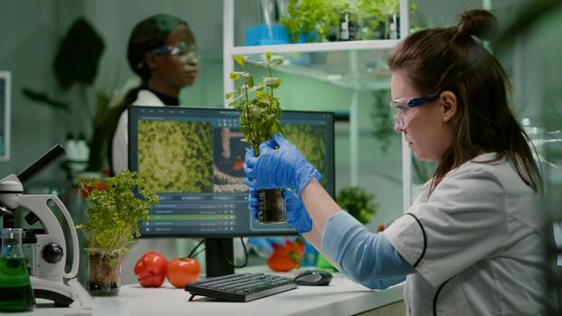 Biologist scientific doctor examining green sapling while typing on keyboard ecology expertise. womanresearcher observing genetic mutation on plants, working in agriculture laboratory photo