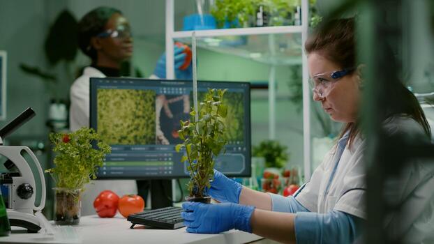 Researcher woman measuring eco sapling while observing biological transformation. Scientist biologist examining genetic mutation on plants, working in biotechnology laboratory photo