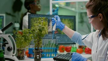 Biologist researcher using micropipette putting genetic solution in test tube developing gmo medical expertise. Specialist scientist in white coat working in professional microbiology laboratory photo