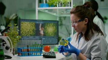 Pharmaceutical researcher analyzing solution test from petri dish for developing medical expertise. Biologist researcher typing microbiology process on computer working in chemical laboratory photo
