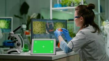 Chemist researcher typing microbiology expertise on computer while in front standing on table tablet with mock up green screen chroma key with isolated display. Biologist working in medical lab photo