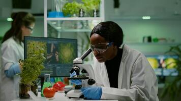 Slide view of biologist researcher analyzing gmo green leaf using medical microscope. Chemist scientist examining organic agriculture plants in microbiology scientific laboratory photo