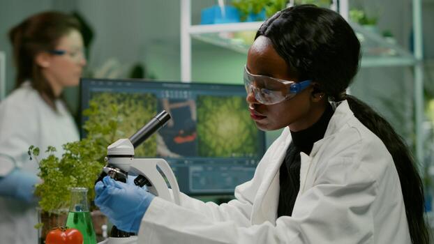 Biotechnology scientist examining botany green leaf using biological microscope researching medical expertise. Chemist analyzing organic agriculture plants in microbiology scientific laboratory photo