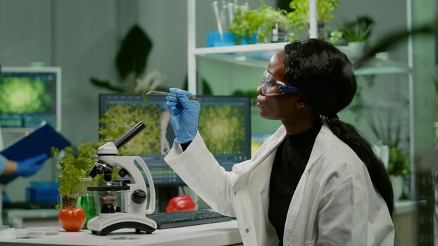Pharmaceutical woman looking at organic leaf sample observing genetic mutations. Chemist scientist examining organic agriculture plants in microbiology scientific laboratory photo