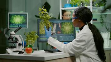 Scientist looking at green sapling for medical experiment while typing on keyboard ecology expertise. woman researcher observing genetic mutation on plants, working in agriculture laboratory photo