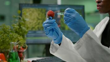 Closeup of biologist scientist injecting strawberry with dna liquid checking fruits for pharmaceutical medical experiment. Biochemist working in farming laboratory testing food for medical expertise photo