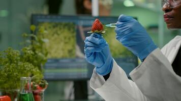 Closeup chemist scientist injecting nature strawberry with chemical pesticides using medical syringe for botany expertise. Biochemist working in biology laboratory testing health food photo