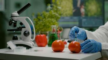 Closeup of chemist scientist injecting organic tomato with pesticides for gmo test. Biochemist working in pharmacology laboratory testing health food for microbiology expertise photo