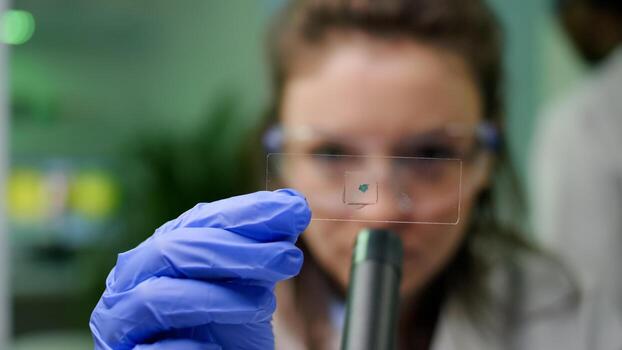 Closeup of chemist scientist looking at green leaf sample checking genetic mutation for biological experiment. Scientist analyzing organic gmo plants while working in microbiology laboratory photo