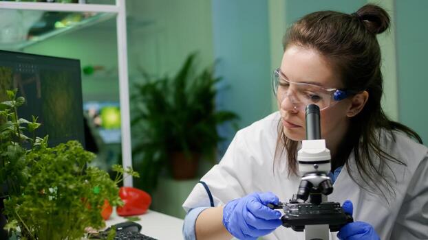 Biologist scientist looking at green leaf sample under microscope researching genetic mutation. Chemist specialist analyzing organic gmo plants while working in microbiology food laboratory photo