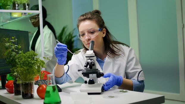 Biologist splecialist taking with tweezers green leaf sample putting under microscope analyzing genetic mutation. Chemist examining biological discovery on plant working in pharmaceutical laboratory photo