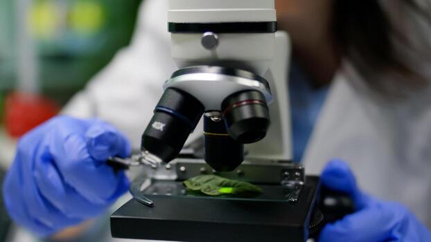 Closeup of biologist hands putting leaf sample under microscope analyzing genetic mutation on plant. Chemist specialist examining gmo test while working in pharmaceutical lab at ecology expertise photo