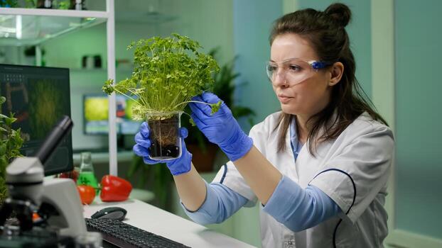Botanist researcher woman examining green sapling observing genetic mutation analyzing organic plants for agriculture experiment. Chemist working in biological pharmaceutical laboratory photo