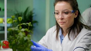 Closeup of botanist woman checking sapling for agriculture experiment observing genetic mutation Biologist specialist researcher working in biotechnology laboratory researching gmo plants photo