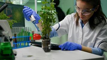 Biochemist scientific taking green liquid with micropieptte puttin on sapling observing genetic mutation typing biochemistry expertise on computer. Biologist woman working in biochemistry laboratory photo