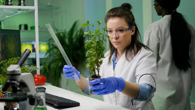 Botanist researcher measure sapling for botany experiment working in pharmaceutical laboratory. Biochemist scientist examining organic plants typing expertise information on computer photo