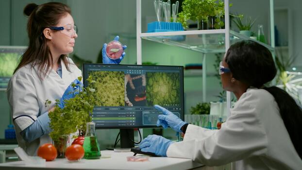 Biologists talking about vegan meat sample checking biochemistry expertise for chemistry experiment using computer. Medical team researching vegetareian food modified genetically photo