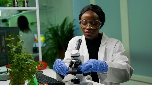 Botanist woman looking at test sample under microscope observing genetic mutation on plants. Pharmaceutical scientist analyzing organic agriculture in microbiology scientific laboratory photo