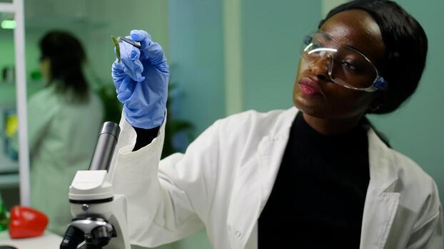 Botanist taking leaf sample from petri dish discovering biological genetic mutation for pharmaceutical experiment. Scientist chemist working in biochemistry lab analyzing organic agriculture photo