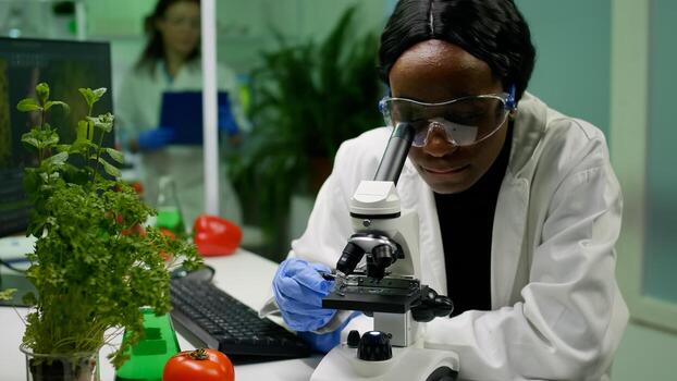 Front view of biologist researcher woman analyzing gmo green sample under medical microscope. Chemist scientist examining organic agriculture plants in microbiology scientific laboratory photo