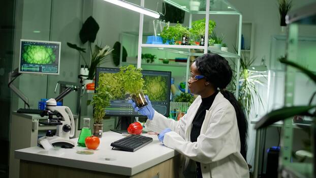 Scientist woman analyzing sapling while typing pharmaceutical expertise on computer. Biologist examining gmo test for medical experiment while working in biochemistry laboratory photo