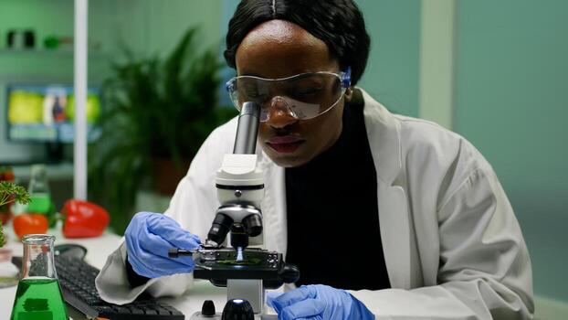 African researcher taking green leaf sample from petri dish putting under microscope observing genetic mutation on plants. Scientist botanist working in biochemistry lab analyzing organic agriculture photo