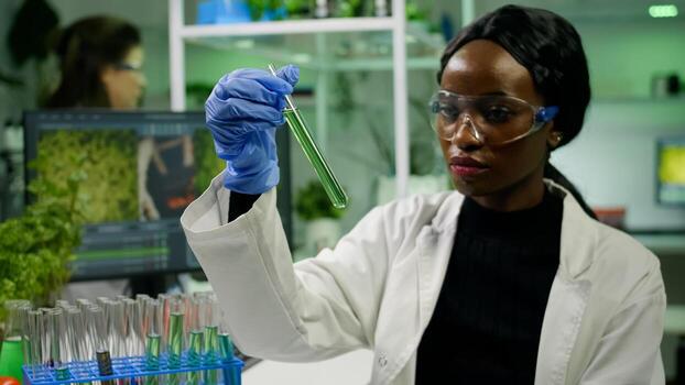 African reseacher looking at test tube with green dna of sapling analyzing genetic mutation modified for microbiology experiment. Scientist working in agriculture laboratory developing eco environment photo
