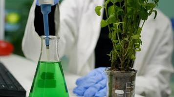 Closeup of botanist woman using micropipette for taking genetic liquid putting on sapling examining botany expertise. Scientist growing organic plants in microbiology laboratory photo