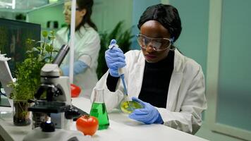 Chemist scientist african woman taking dna solution from test tube with micropipette putting in petri dish for agriculture biochemistry experiment, working in pharmaceutical laboratory. photo