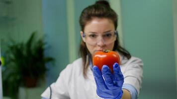 Front view of biologist reseacher woman analyzing pepper injected with chemical dna for scientific agriculture experiment. Pharmaceutical scientist working in microbiology laboratory photo