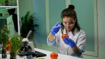 Chemist researcher typing pharmacology medical expertise on computer injecting tomato with chemical pesticides for farming experiment. Scientist woman working in botany laboratory photo
