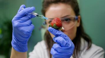 Closeup of chemist woman injecting organic strawberry with chemical pesticides checking gmo test for scientific agriculture experiment. Scientist biologist examining fruits in farming laboratory photo