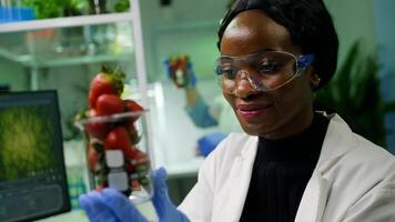 African researcher looking at glass with healthy strawberry examining ecology test. In background her collegue checking injected fruits while working in microbiology laboratory photo