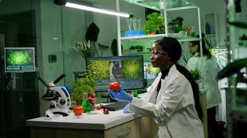 Medical team researcher working in pharmacology laboratory examining organic food checking genetic mutation after injecting with pesticides. Scientists checking dna medical expertise on computer photo