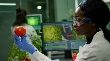 African scientist woman looking at tomato while her collegue typing dna test on computer in background. Biochemist researcher working in biotechnology organic laboratory analyzing chemistry experiment photo