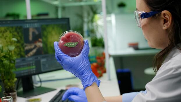 Chemist analyzing plant based beef substitute for vegetarien people typing biochemistry medical expertise on computer. Scientist examining food genetically modified working in microbiology lab photo
