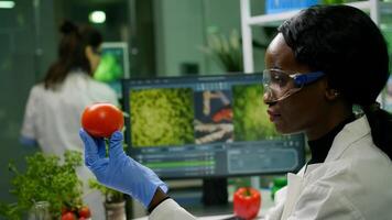 Scientist researcher woman checking tomato injected with pesticides for gmo test, in background her coleglegue typing chemical test Biochemist working in biotechnology organic laboratory photo