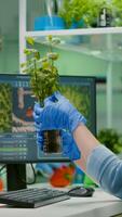 Biologist scientific doctor examining green sapling while typing on keyboard ecology expertise. womanresearcher observing genetic mutation on plants, working in agriculture laboratory photo
