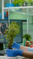 Researcher woman measuring eco sapling while observing biological transformation. Scientist biologist examining genetic mutation on plants, working in biotechnology laboratory photo