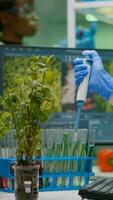 Biologist researcher using micropipette putting genetic solution in test tube developing gmo medical expertise. Specialist scientist in white coat working in professional microbiology laboratory photo