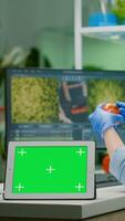 Chemist researcher typing microbiology expertise on computer while in front standing on table tablet with mock up green screen chroma key with isolated display. Biologist working in medical lab photo
