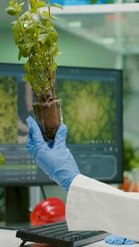 Woman researcher looking at green sapling comparing with tomato while typing on keyboard ecology expertise. Scientist observing genetic mutation on plants, working in agriculture laboratory photo