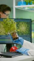 African woman researcher analyzing gmo of tomato and sapling working in biological laboratory. Biochemist scientist examining organic plants typing expertise information on computer photo