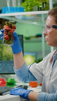 Pharmaceutical scientist looking at glass with strawberry while typing medical expertise on computer. Biochemist injecting fruits with pesticides checking genetic test working in agriculture laboratory photo