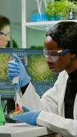 Biologist scientist african woman researcher taking genetic solution from test tube with micropipette putting in petri dish analyzing gmo of sapling working in biological laboratory. photo