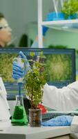 Biologist scientist talking solution from medical flask putting on green sapling for genetic experiment. womanresearcher in white coat working in professional microbiology laboratory photo