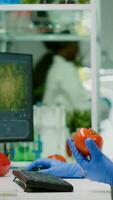 Pharmaceutical chemist examining tomato for microbiology experiment typing medical information on computer. Biochemist injecting healty vegetables with pesticides working in agriculture laboratory photo