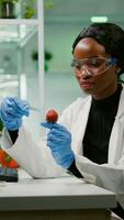 Chemist scientist injecting strawberry with organic liquid examining dna test of fruits for botany experiment. Biochemist working in pharmaceutical laboratory testing health food for medical expertise photo