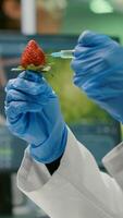 Closeup chemist scientist injecting nature strawberry with chemical pesticides using medical syringe for botany expertise. Biochemist working in biology laboratory testing health food photo